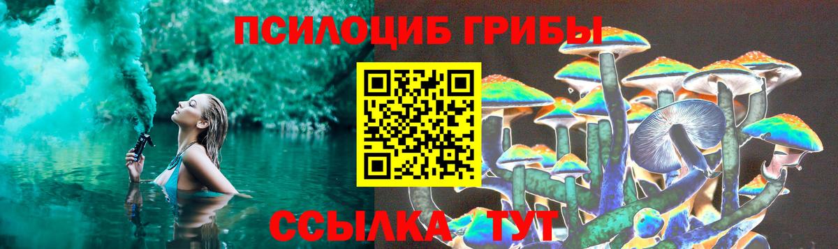 Карабулак  Псилоцибиновые грибы MAGIC MUSHROOMS  Вход с VPN  Галлюциногенные грибы MAGIC MUSHROOMS 